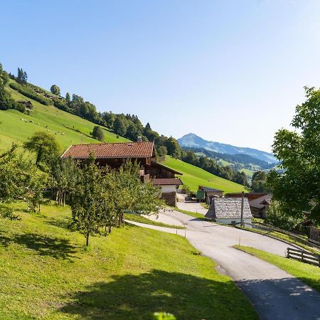 Apartmán Anderla 1 Wildschoenau Exteriér fotografie