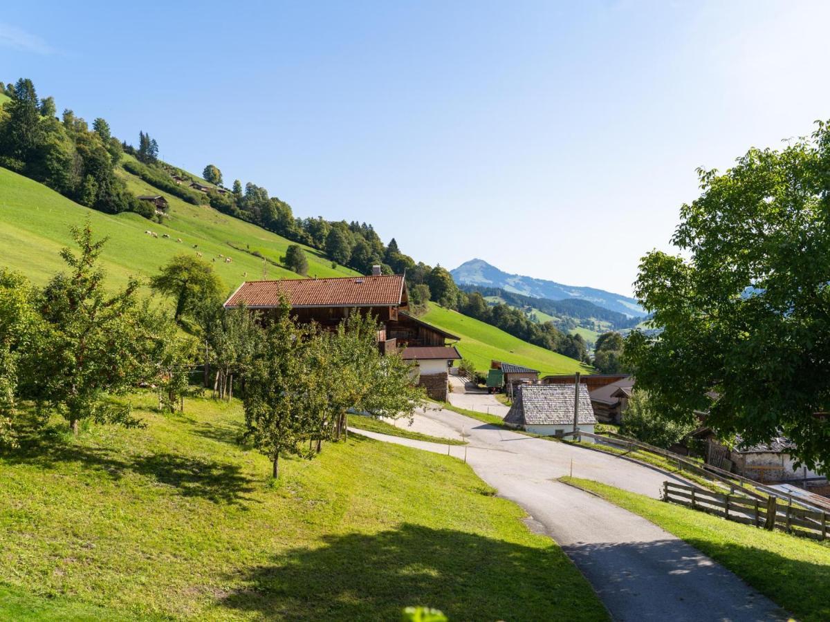 Apartmán Anderla 1 Wildschoenau Exteriér fotografie